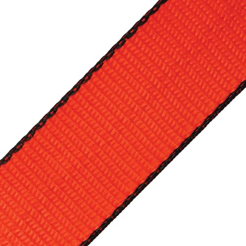 Car Tie Down with Snap Hook (VULCAN PROSeries)
