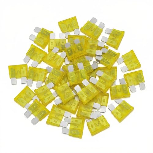 80Pcs) 20 Amp Standard Fuse, 20A Car Blade Fuses for Car/RV/Truck/SUV/Motorcycle/Boat (20A)