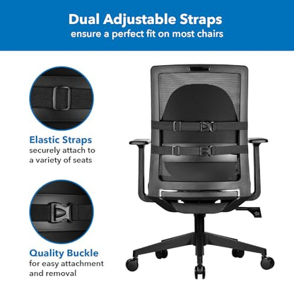 Office Chair Cushion (Large)