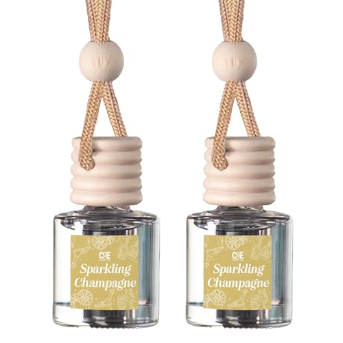 CANDECraftCo 2 Pack Hanging Car Air Freshener Diffuser for Essential Oils
