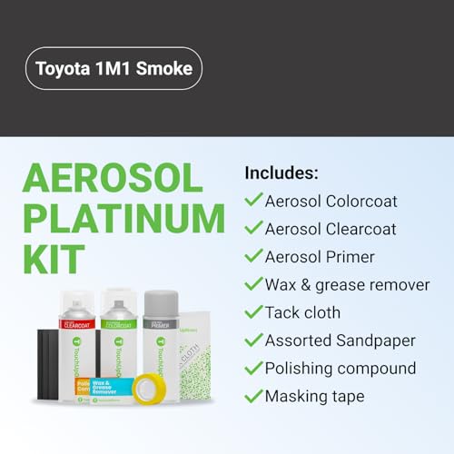 Car Paint Touch Up Spray Kit (Aerosol Spray - Platinum Kit / Smoke)
