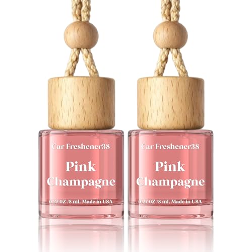 Car Air Freshener Diffuser 2 Pack Hanging Air Freshener Diffuser