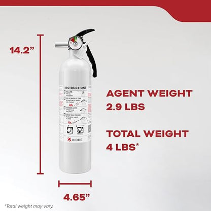 Auto 10 Fire Extinguisher for Cars and Trucks (Small - 2.9 lbs.)