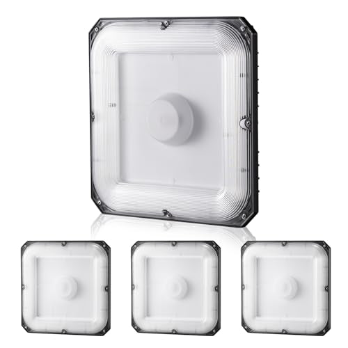 4 Pack LED Canopy Lights