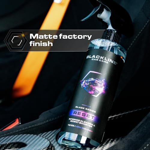 Reset Interior Car Cleaner & Deodorizer Spray (16 Fl Oz (Pack of 1))