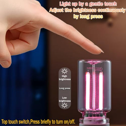 2 Pack Car LED Lights Interior (2 pack / pink)