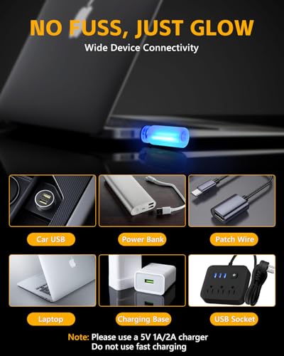 2PCS USB Light for Car (Blue / Frosted Glass)