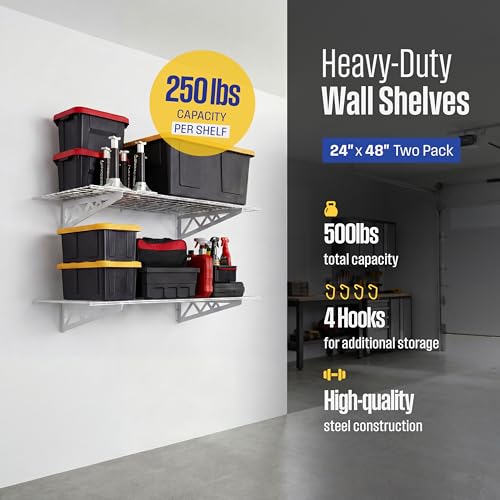 Steel Garage Wall Shelves 2 (24"x48" (2-Pack) / White)
