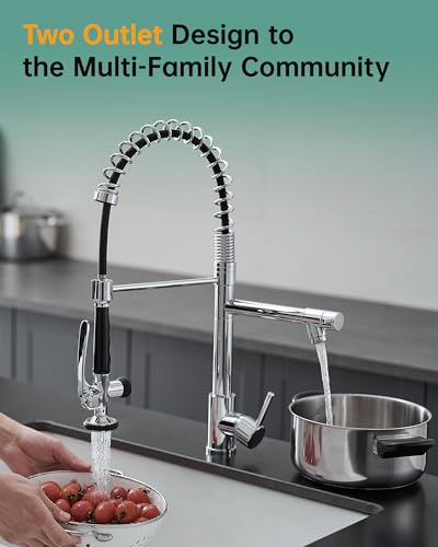 Chrome Kitchen Faucet with Sprayer (Chrome)