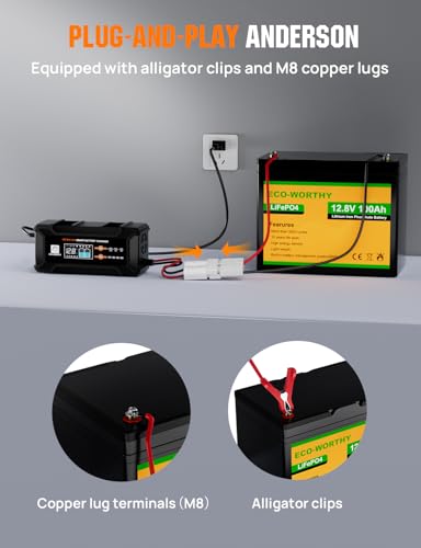 12V 24V 20A Smart Battery Charger for Lead