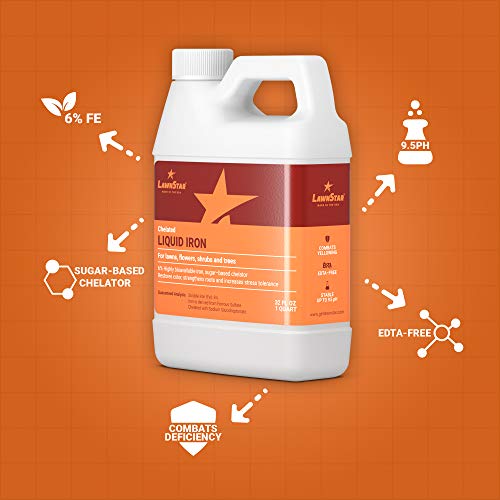 Liquid Iron 32 OZ (32 Oz (Pack of 1))