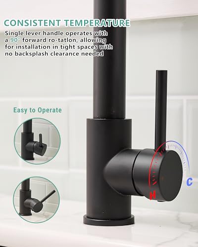 Black Kitchen Faucet (Matte Black)