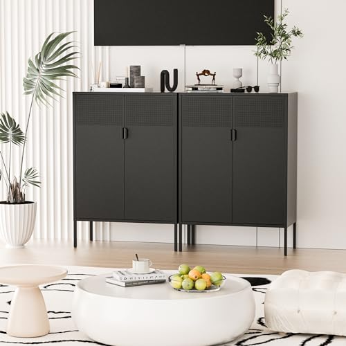 2 Mesh Door Metal Storage Cabinet with Adjustable Shelves (Black / 47''H)