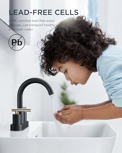 4 Inch Centerset Bathroom Sink Faucet Black and Brushed Nickel (Stainless Steel&Black)