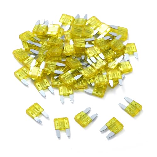 100 Pack Auto Fuses 20 AMP APM (20 AMP)