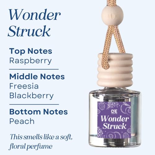 CANDECraftCo 2 Pack Hanging Car Air Freshener Diffuser for Essential Oils