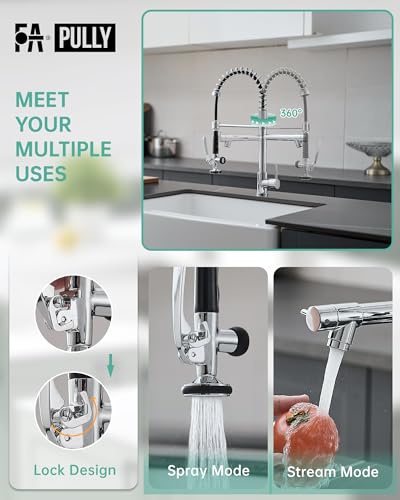 Chrome Kitchen Faucet with Sprayer (Chrome)