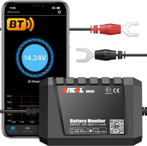 BM300 12V Battery Monitor (Black)