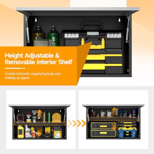Metal Wall Cabinet with Adjustable Shelves (19.7''H / Black Gray)