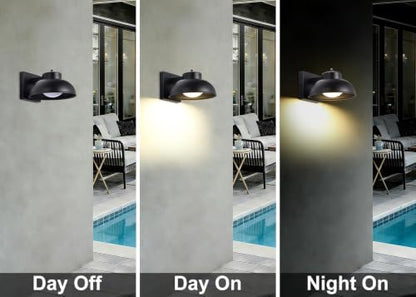 Black Exterior Light Fixtures (Black)