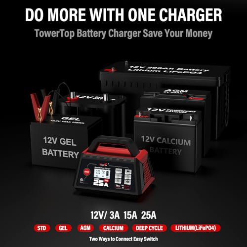 25A Max Pro Battery Charger (25A Max Pro)