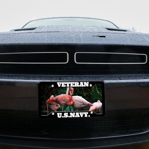 Custom License Plate Frames (4Holes-6.3x12.2 Inch)
