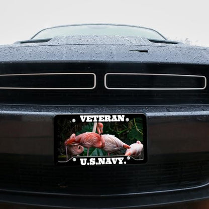 Custom License Plate Frames (4Holes-6.3x12.2 Inch)