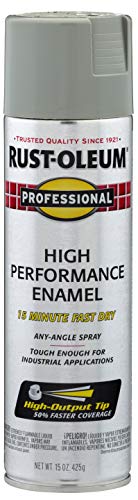 Professional High Performance Stainless Steel Spray Paint (Stainless Steel / 14 Ounce (Pack of 1))