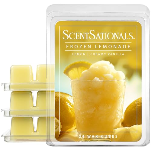 Frozen Lemonade