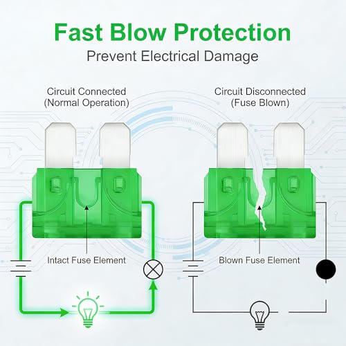 80Pcs) 30 Amp Standard Fuse, 30A Car Blade Fuses for Car/RV/Truck/SUV/Motorcycle/Boat (30A)