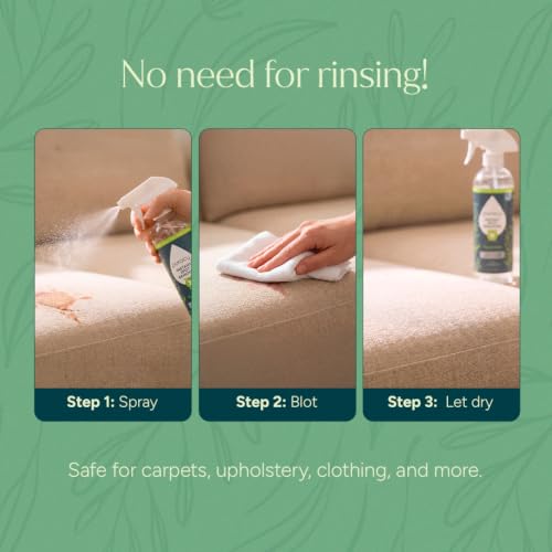 Laundry Stain Remover for Clothes Laundry (25 Fl Oz (Pack of 1))