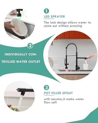 Black Kitchen Faucet with Pull Down Sprayer (Matte Black)
