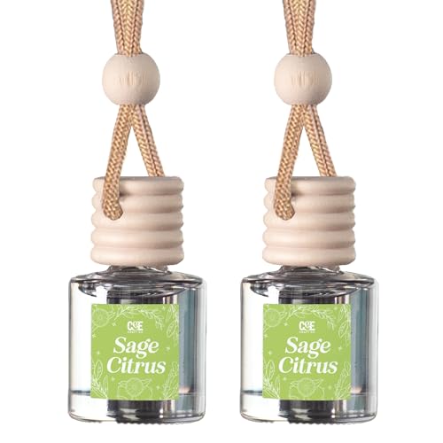 CANDECraftCo 2 Pack Hanging Car Air Freshener Diffuser for Essential Oils