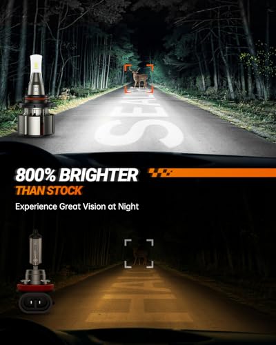 9005 LED Bulbs (L2 9005)