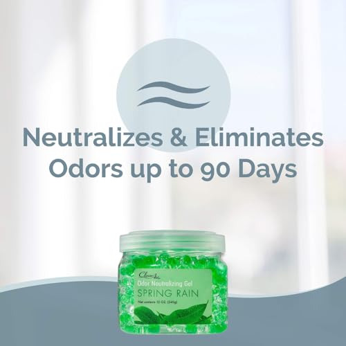 Odor Eliminator Gel (Spring Rain)