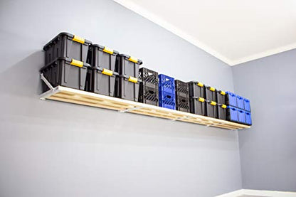 RhinoMini Universal Garage Storage Kit (16-ft Length x 20-in Depth)
