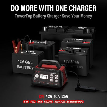2/10/25 Amp 12V Smart Car Battery Charger, Fully Automatic Battery Maintainer with Engine Start, Auto Desulfator, Battery Repair, Winter Mode, for AGM, STD, Gel, Deep Cycle Batteries (25A)