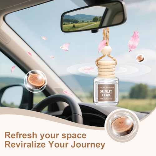 6 Pack Car Air Freshener