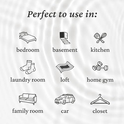 Odor Eliminator Spray for Room & Fabric (24 Fl Oz (Pack of 1))