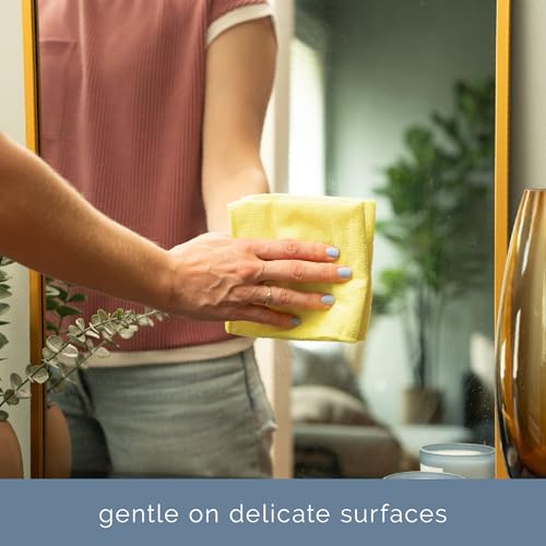 Microfiber Cleaning Cloth (12 Pack)