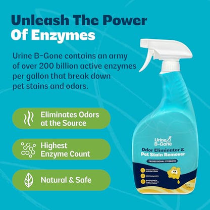 Urine B Gone Enzyme Cleaner for Human (32 Fl Oz (Pack of 1))