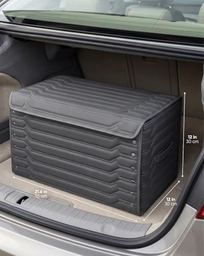 Cargo Organizer (Highway 21)