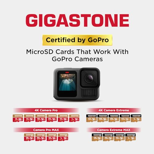 5 Years Data Recovery】 GIGASTONE 1TB Micro SD Card 4 (1TB 4K Camera Pro 4-Pack)