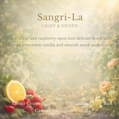 Car Air Freshener Refill for Smart Car Diffuser