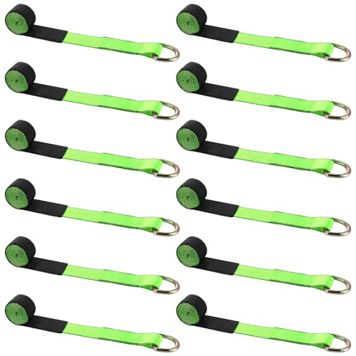 Lasso Tow Truck Straps with D Ring (2" X 10 ft)
