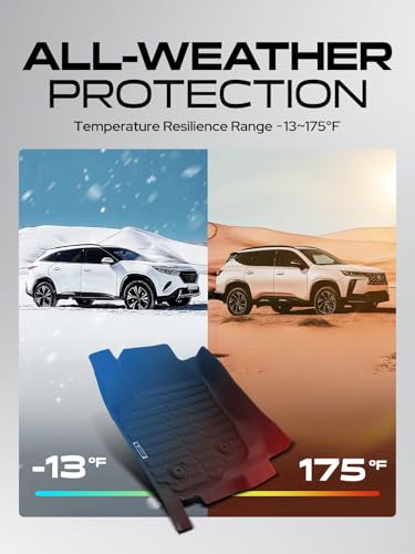 Automotive Floor Mats for Toyota RAV4 2006 (2006-2012)