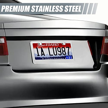2 Pack License Plate Frames (Silver)