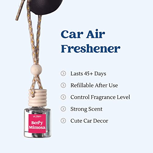 CANDECraftCo 2 Pack Hanging Car Air Freshener Diffuser for Essential Oils