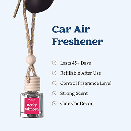 CANDECraftCo 2 Pack Hanging Car Air Freshener Diffuser for Essential Oils