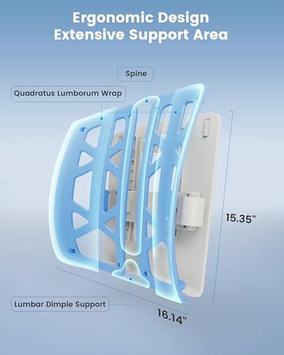 Lumbar Support Pillow for Office Chair (Blue)